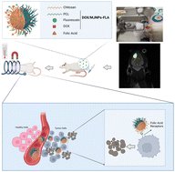 Graphical abstract: Active targeted delivery of theranostic thermo/pH dual-responsive magnetic Janus nanoparticles functionalized with folic acid/fluorescein ligands for enhanced DOX combination therapy of rat glioblastoma