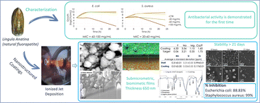 Graphical abstract: A natural biogenic fluorapatite as a new biomaterial for orthopedics and dentistry: antibacterial activity of lingula seashell and its use for nanostructured biomimetic coatings