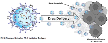 Graphical abstract: A new era in cancer treatment: harnessing ZIF-8 nanoparticles for PD-1 inhibitor delivery