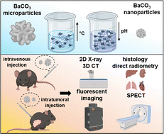 Graphical abstract: Controllable synthesis of barium carbonate nano- and microparticles for SPECT and CT imaging