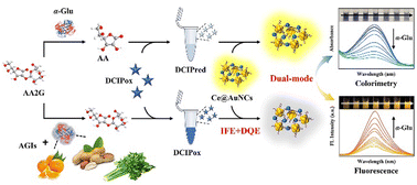 Graphical abstract: Fluorometric and colorimetric dual-mode sensing of α-glucosidase based on aggregation-induced emission enhancement of AuNCs