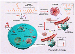 Graphical abstract: Pretargeted radiotherapy and synergistic treatment of metastatic, castration-resistant prostate cancer using cross-linked, PSMA-targeted lipoic acid nanoparticles