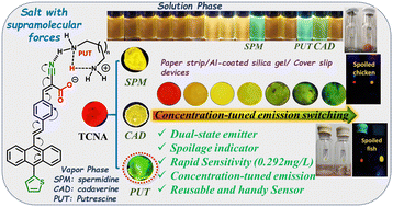 Graphical abstract: Concentration-tuned diverse response to selective biogenic amines using a reusable fluorophore: monitoring protein-rich food spoilage