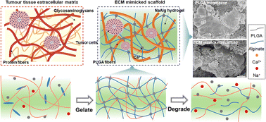 Graphical abstract: Toward morphologically relevant extracellular matrix: nanofiber-hydrogel composites for tumor cell culture
