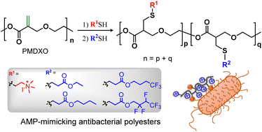 Graphical abstract: Synthesis and antibacterial properties of fluorinated biodegradable cationic polyesters