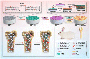 Graphical abstract: Construction of a layer-by-layer self-assembled rosemarinic acid delivery system on the surface of CFRPEEK implants for enhanced anti-inflammatory and osseointegration activities