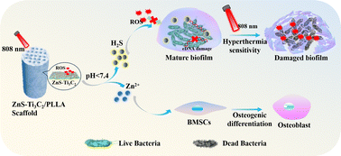 Graphical abstract: pH-Responsive nanoplatform synergistic gas/photothermal therapy to eliminate biofilms in poly(l-lactic acid) scaffolds