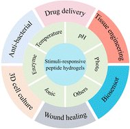 Graphical abstract: Stimuli-responsive peptide hydrogels for biomedical applications