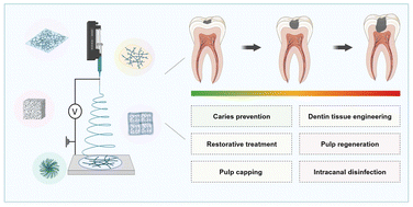 Graphical abstract: Electrospun nanofibers applications in caries lesions: prevention, treatment and regeneration