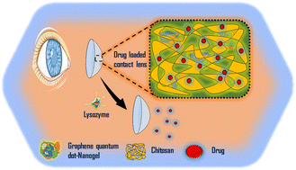 Graphical abstract: A promising ‘single’ and ‘dual’ drug-nanocomposite enriched contact lens for the management of glaucoma in response to the tear fluid enzyme