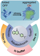 Graphical abstract: Dual-environment-sensitive probe to detect protein aggregation in stressed laryngeal carcinoma cells and tissues