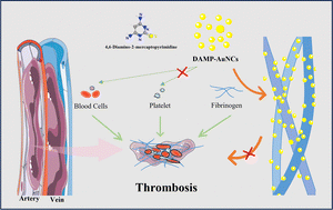 Graphical abstract: Mercaptopyrimidine-templated gold nanoclusters for antithrombotic therapy