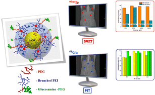 Graphical abstract: Radiolabeled multi-layered coated gold nanoparticles as potential biocompatible PET/SPECT tracers