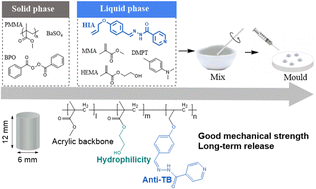 Graphical abstract: Injectable isoniazid-loaded bone cement based on hydrazone bonds achieving long-term release and decent mechanical properties