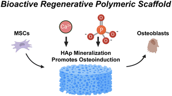 Graphical abstract: Trends in bioactivity: inducing and detecting mineralization of regenerative polymeric scaffolds