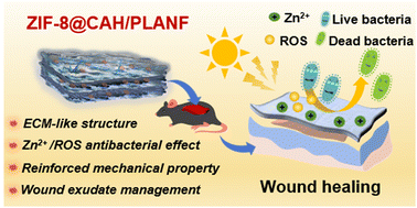Graphical abstract: A ZIF-8-encapsulated interpenetrated hydrogel/nanofiber composite patch for chronic wound treatment