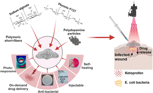 Graphical abstract: Injectable and self-healable nano-architectured hydrogel for NIR-light responsive chemo- and photothermal bacterial eradication