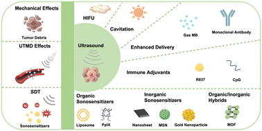 Graphical abstract: Ultrasound-augmented cancer immunotherapy