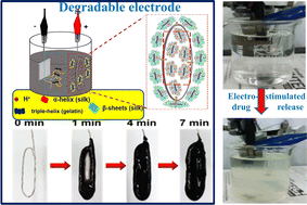 Graphical abstract: Electrogelated drug-embedded silk/gelatin/rGO degradable electrode for anti-inflammatory applications in brain-implant systems