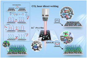 Graphical abstract: A laser-induced zinc oxide/graphene photoelectrode for a photocurrent-polarity-switching photoelectrochemical biosensor with bipedal DNA walker amplification