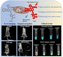 Graphical abstract: Carboxylesterase-activated near-infrared fluorescence probe for highly sensitive imaging of liver tumors