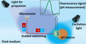 Graphical abstract: Light-driven micromotors for on-demand and local pH sensing applications