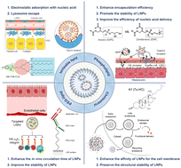 Graphical abstract: Lipid nanoparticles as the drug carrier for targeted therapy of hepatic disorders