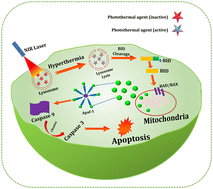 Graphical abstract: Inorganic nanoparticles for photothermal treatment of cancer