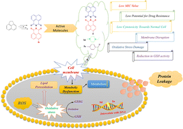 Graphical abstract: Bacterial cell death to overcome drug resistance with multitargeting bis-naphthalimides as potent antibacterial agents against Enterococcus faecalis