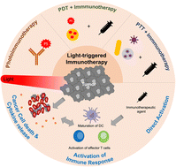 Graphical abstract: Recent advances in light-triggered cancer immunotherapy