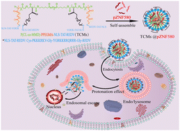 Graphical abstract: Amphiphilic multi-targeting copolymer micelles efficiently deliver pZNF580 to promote endothelial cell proliferation and migration