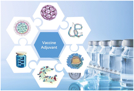 Graphical abstract: Vaccine adjuvants: current status, research and development, licensing, and future opportunities