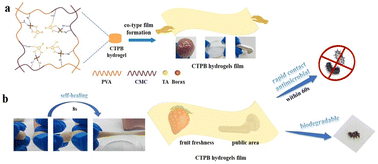 Graphical abstract: A co-type ductile film with high tensile strength and fast self-healing properties for shaped fruit preservation