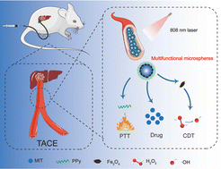 Graphical abstract: Engineering polyvinyl alcohol microspheres with capability for use in photothermal/chemodynamic therapy for enhanced transarterial chemoembolization