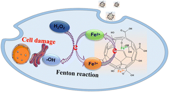 Graphical abstract: pH-responsive iron-loaded carbonaceous nanoparticles for chemodynamic therapy based on the Fenton reaction