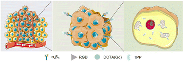 Graphical abstract: A dual-targeted Gd-based contrast agent for magnetic resonance imaging in tumor diagnosis