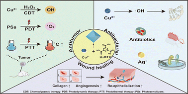 Graphical abstract: Unveiling the potential of HKUST-1: synthesis, activation, advantages and biomedical applications