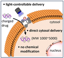 Graphical abstract: Light-controllable cell-membrane disturbance for intracellular delivery