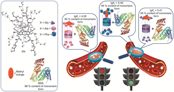 Graphical abstract: Pillar[5]arene/albumin biosupramolecular systems for simultaneous native protein preservation and encapsulation of a water-soluble substrate