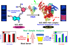 Graphical abstract: A microenvironment-sensitive red emissive probe with a large Stokes shift for specific recognition and quantification of serum albumin in complex biofluids and live cells