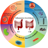 Graphical abstract: Bioinspired and biomimetic strategies for inflammatory bowel disease therapy