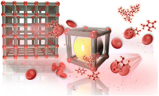 Graphical abstract: Metal–organic framework-based adsorbents for blood purification: progress, challenges, and prospects
