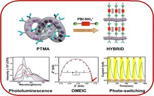 Graphical abstract: Polythiophene-g-poly(methacrylic acid) and perylene diimide appended peptide conjugates with tuneable photoluminescence, OMEIC, and photo-switching properties