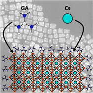 Graphical abstract: Polar solvent-free room temperature synthesis of CsPbX3 (X = Br, Cl) perovskite nanocubes