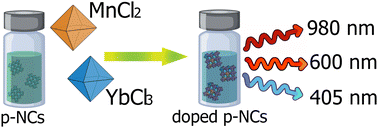 Graphical abstract: Anion-assisted Yb3+ and Mn2+ doping of 0D and 2D lead halide perovskite nanostructures