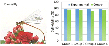 Graphical abstract: Edible polysaccharide-based ultraflexible organic transistors for nutritive electronics