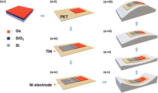 Graphical abstract: Flexible TiN/Ge photodetectors with enhanced responsivity via localized surface plasmon resonance and strain modulation
