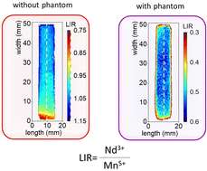 Graphical abstract: Critical evaluation of the thermometric performance of ratiometric luminescence thermometers based on Ba3(VO4)2:Mn5+,Nd3+ for deep-tissue thermal imaging