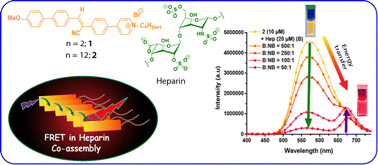 Graphical abstract: Efficient energy transfer in heparin-based co-assemblies of donor–acceptor cyanostilbenes