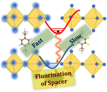 Graphical abstract: Tuning charge carrier dynamics through spacer cation functionalization in layered halide perovskites: an ab initio quantum dynamics study